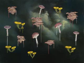 Ross Chisholm - Oyster Pleurotus Cementary Transcription