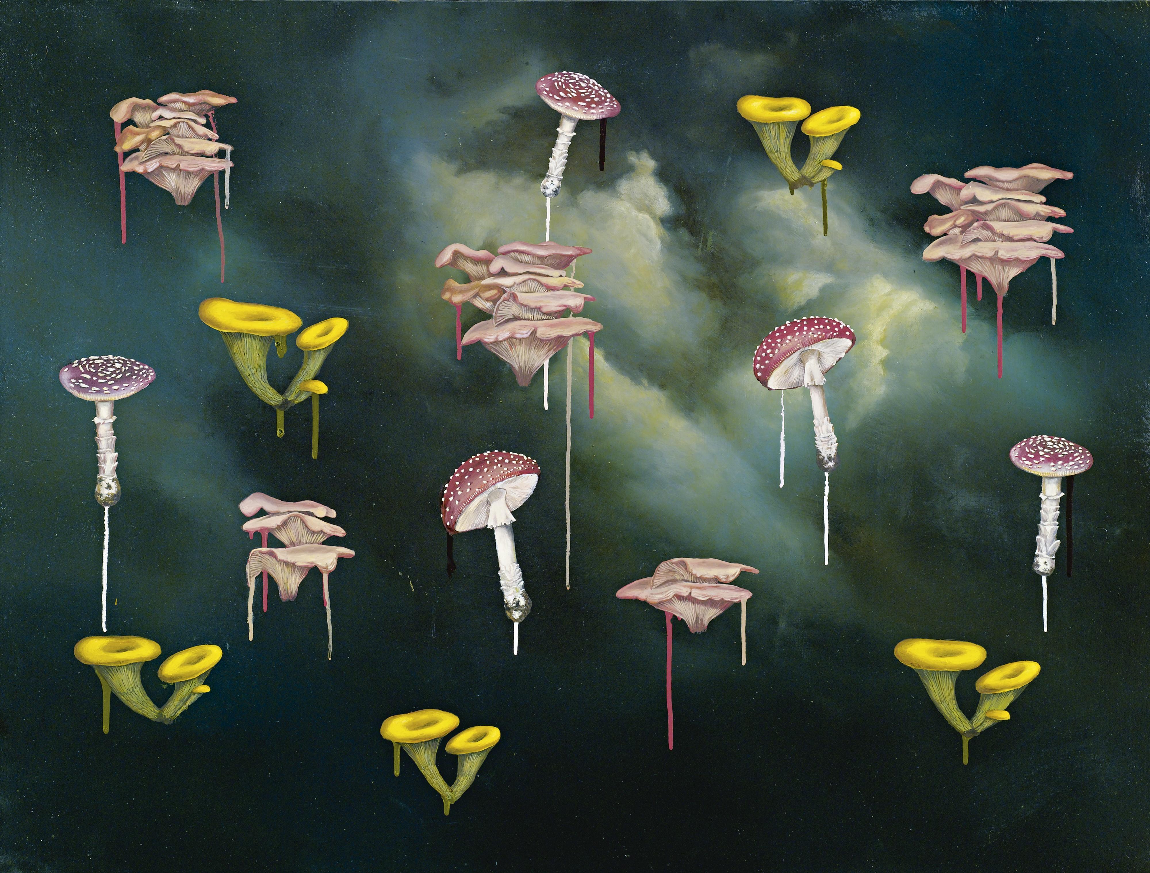 Ross Chisholm - Oyster Pleurotus Cementary Transcription