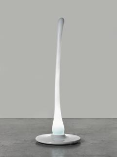 Ross Lovegrove - Unique Light Sculpture