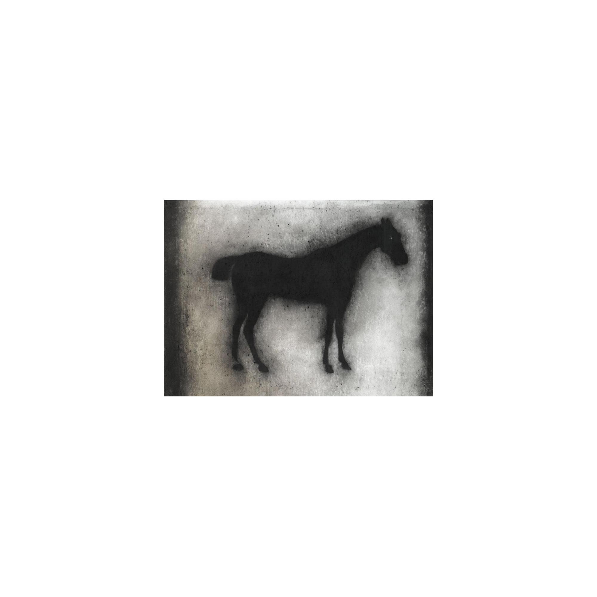Ross Wilson, A.R.U.A. - Untitled (Horse)