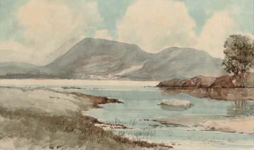 Rowland Hill - Gulls over a lake