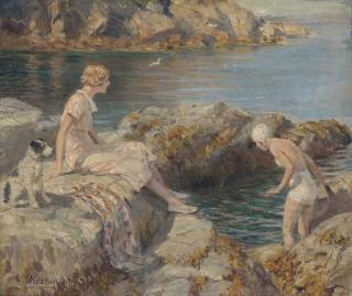 Rowland Wheelwright - Exploring the pool