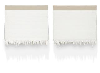 Roxy Paine - 17089202001A; 17089202001B