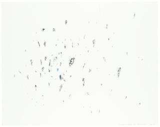 Roxy Paine - All the Ears in the (Monday, October 30, 1995) New York Times