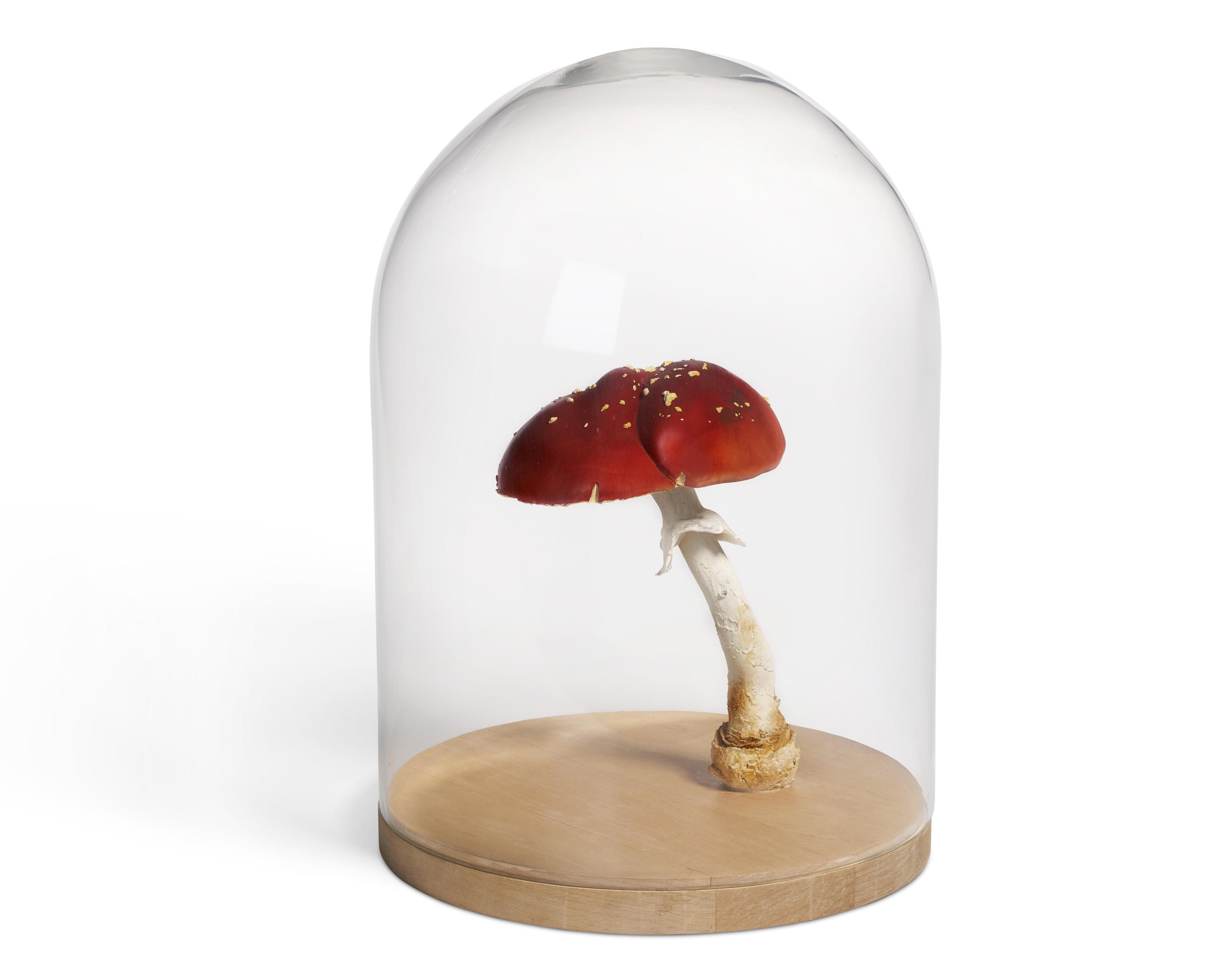 Roxy Paine - Amanita Muscaria #5