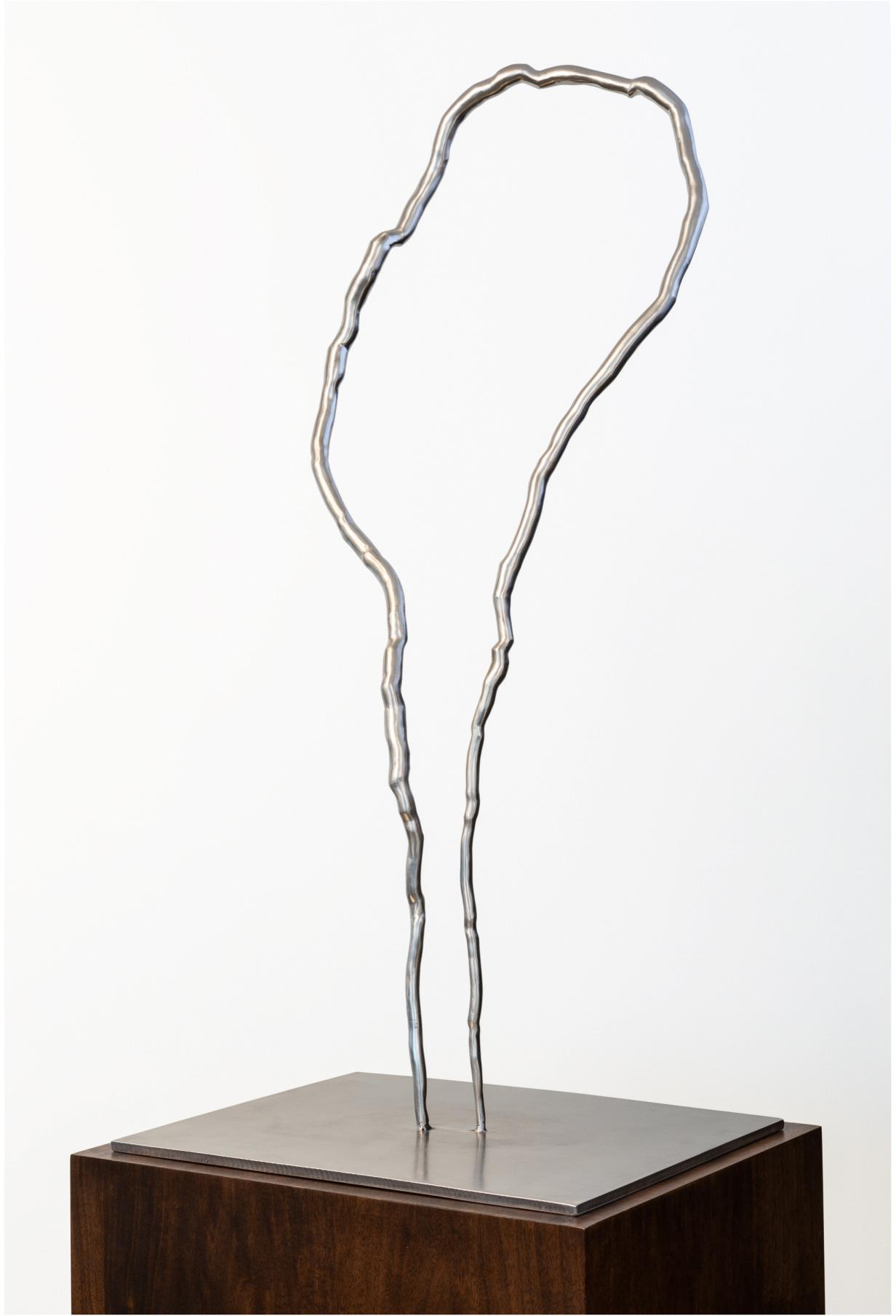 Roxy Paine - Maquette For Portal