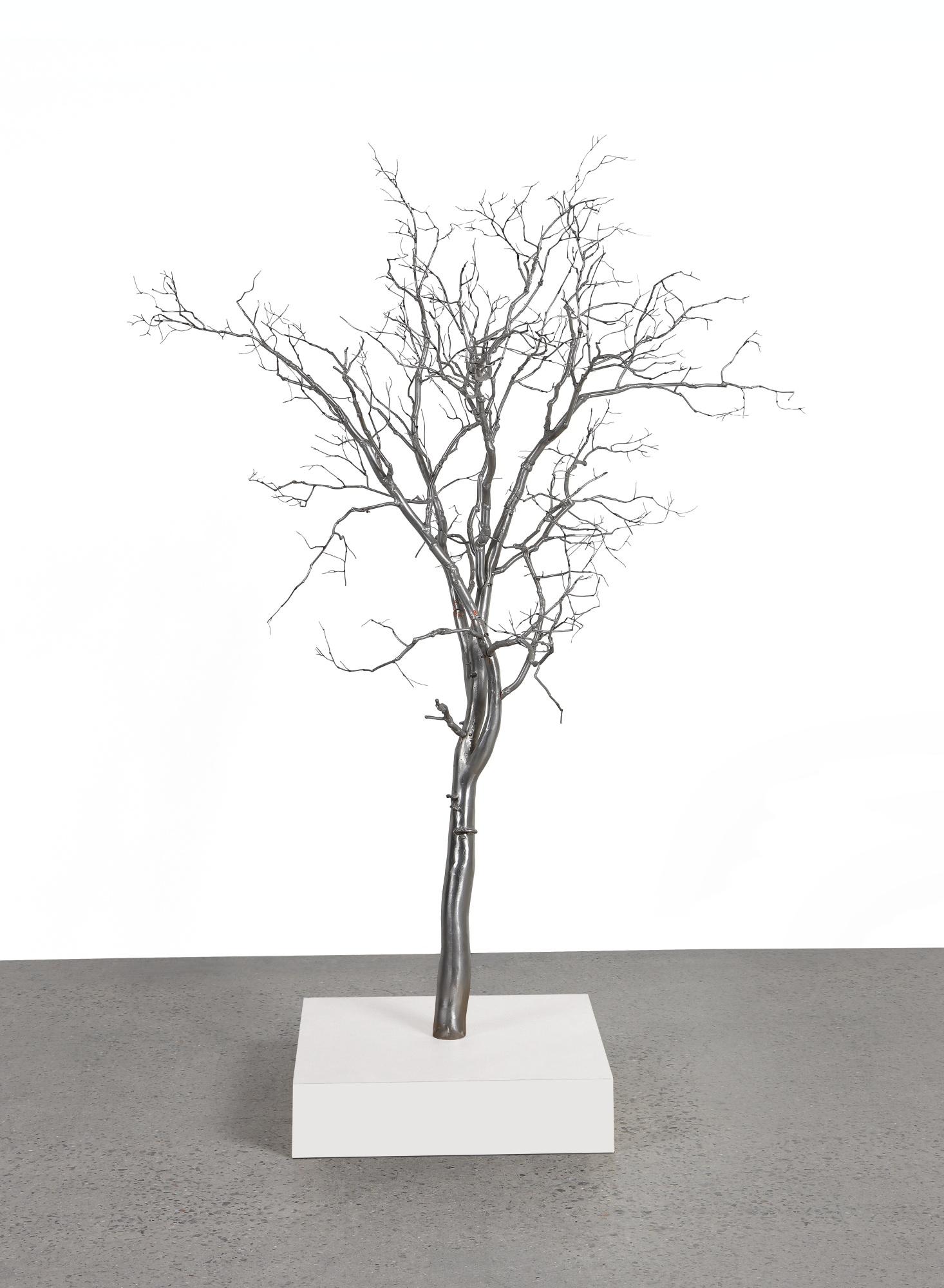 Roxy Paine - Model For Bluff