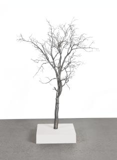 Roxy Paine - Model For Bluff