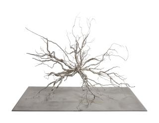 Roxy Paine - Model For Neuron 2