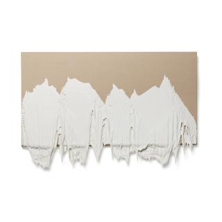 Roxy Paine - PMU No. 18