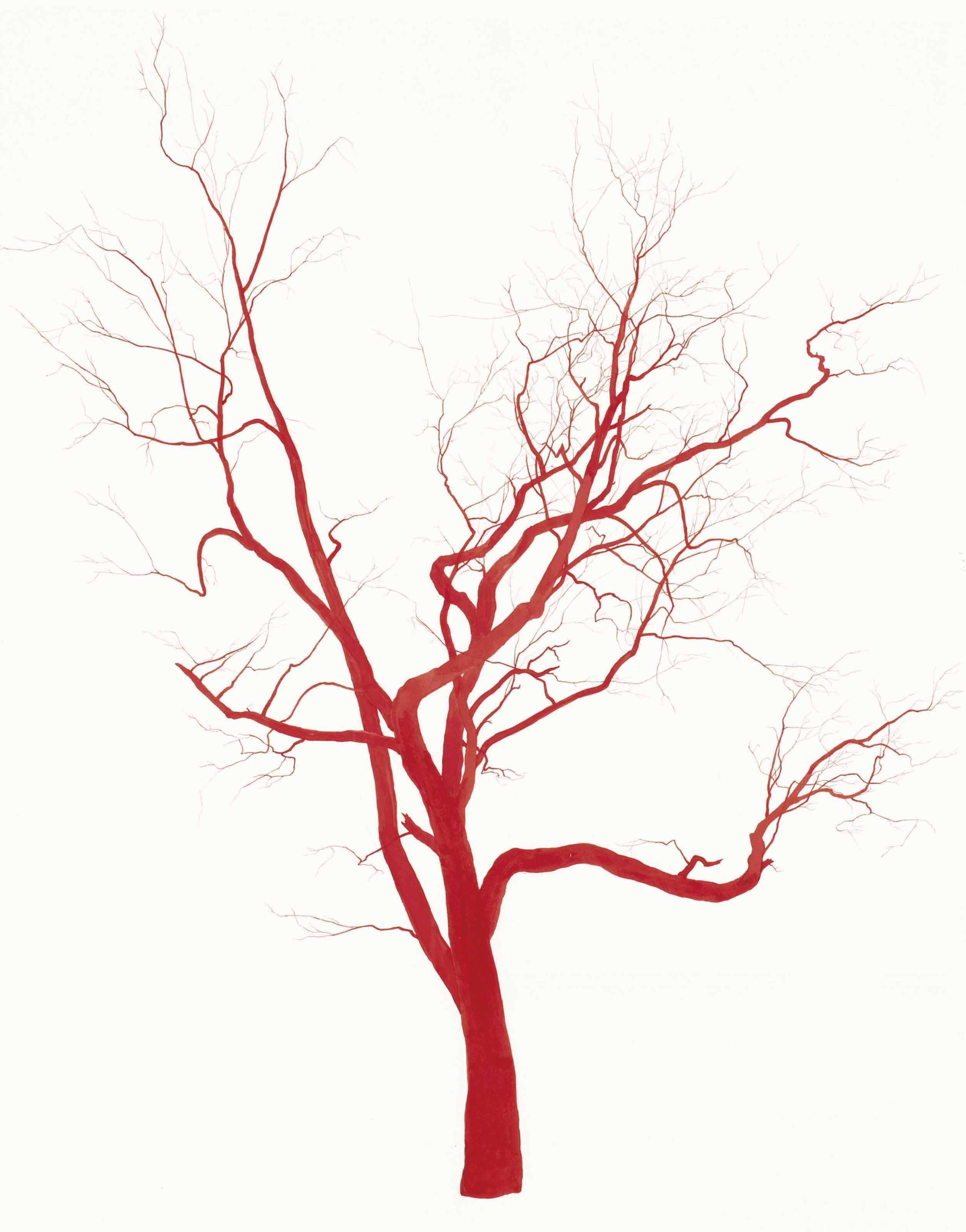Roxy Paine - Untitled [Red Tree Drawing]