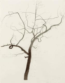 Roxy Paine - Untitled (Scale Drawing For Palimpsest)