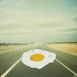 Roxy Paine - Untitled