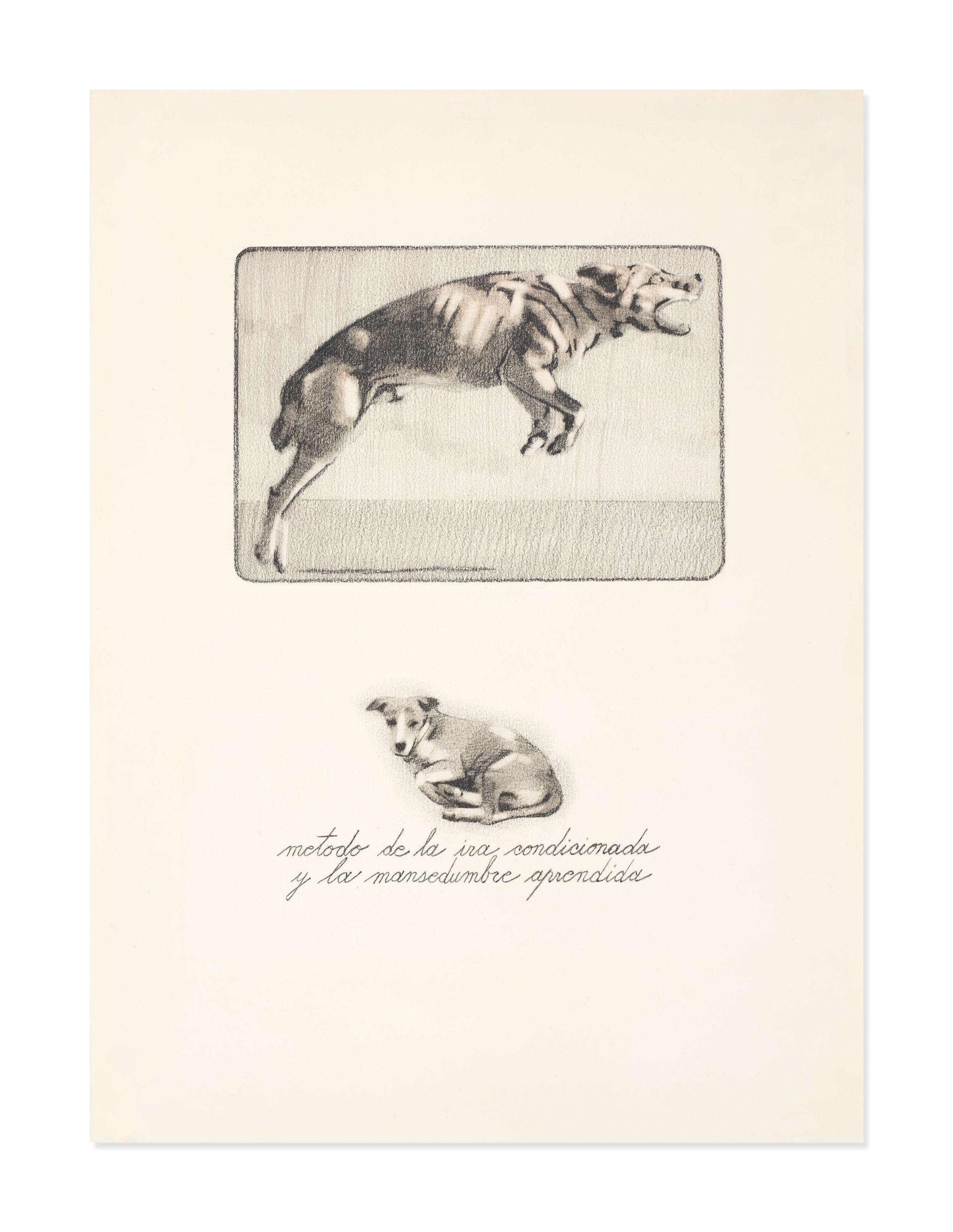 Rubén Torres Llorca - Untitled