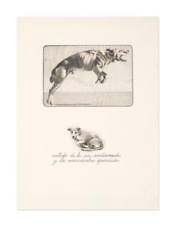 Rubén Torres Llorca - Untitled