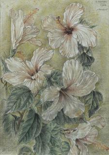 Rudolf Bonnet - Hibiscus
