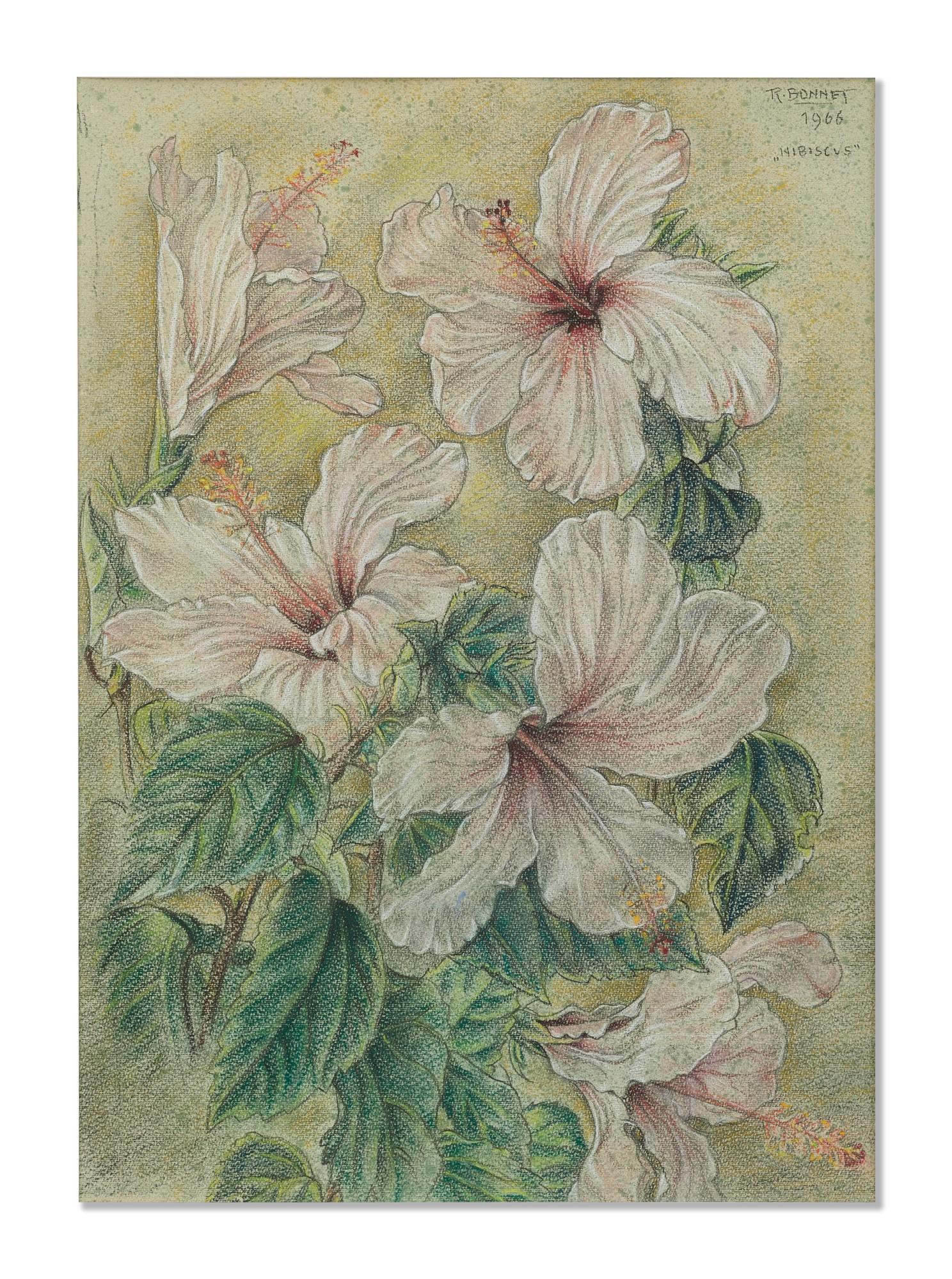 Rudolf Bonnet - Hibiscus