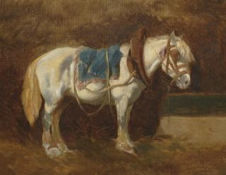 Rudolf Koller - Gesattelter Schimmel, 1850