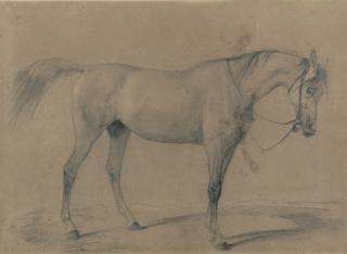 Rudolf Koller - Pferdestudie Horse Study