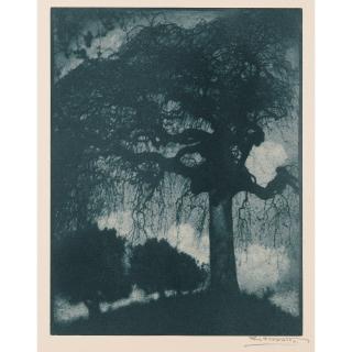 Rudolf Koppitz - Frêne, Vers 1914