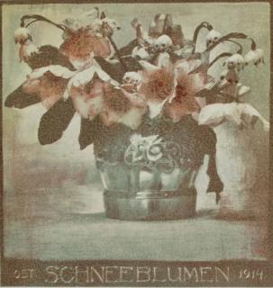 Rudolf Koppitz - Schneeblumen, 1914