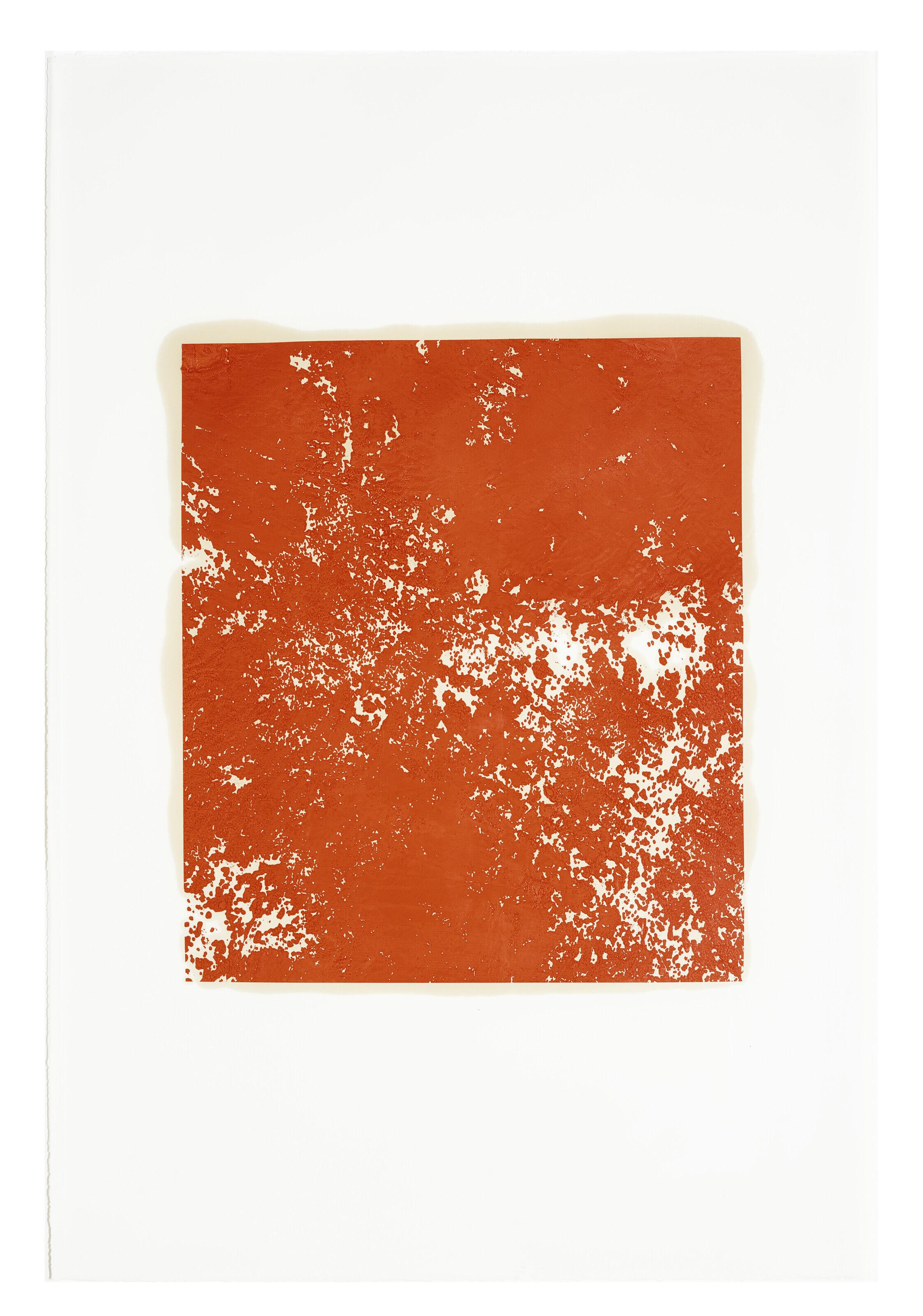 Rudolf Stingel - Untitled