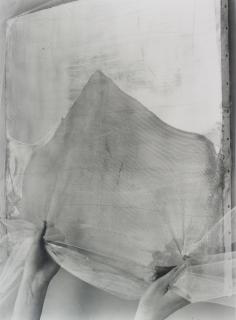 Rudolf Stingel - Untitled