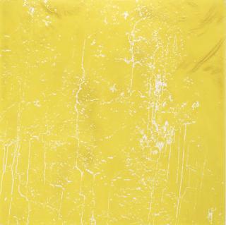 Rudolf Stingel - Untitled