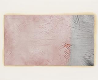 Rudolf Stingel - Untitled