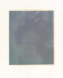 Rudolf Stingel - Untitled