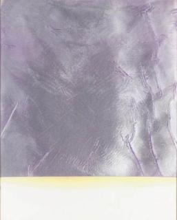 Rudolf Stingel - Untitled