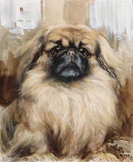 Rueben Ward Binks - Po Pan, a pekingese