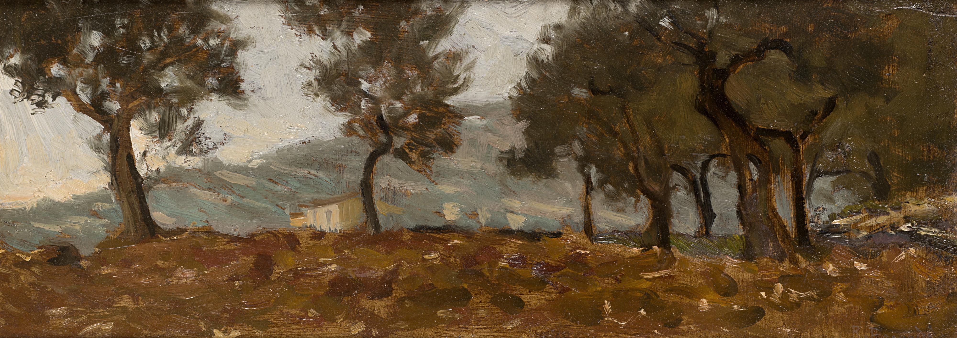 Ruggero Focardi - Uliveto