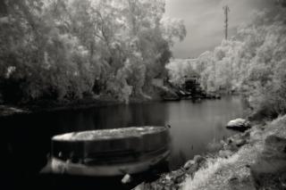 Rula Halawani - Untitled 8 For My Father