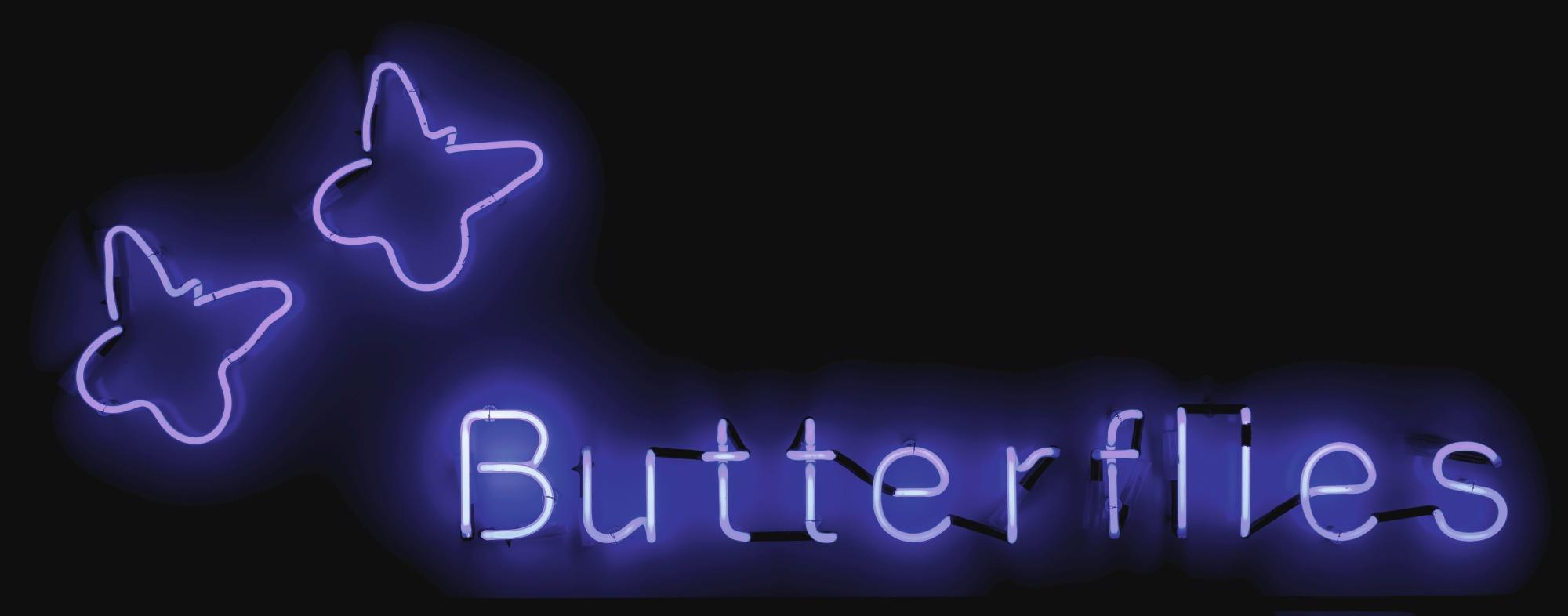 Runa Islam - Dream Of A Neon Epigram