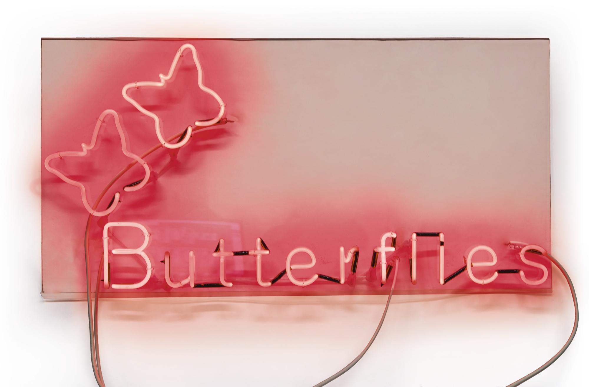 Runa Islam - Dream Of A Neon Epigram