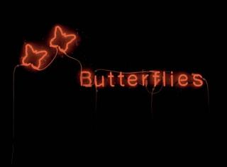 Runa Islam - Utterlies/Butterflies