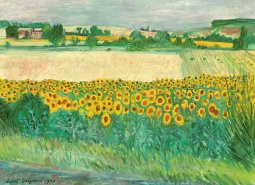 Rupert Shephard - Sunflowers near la Bégude de Mazenc