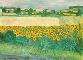 Rupert Shephard - Sunflowers near la Bégude de Mazenc