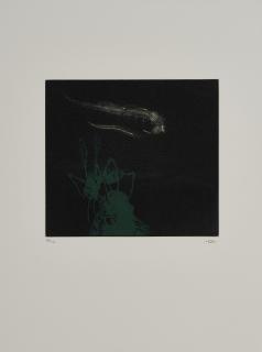 Ruprecht von Kaufmann - Ohne Titel.