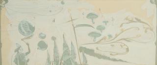 Ruprecht von Kaufmann - Studie Parade 2.