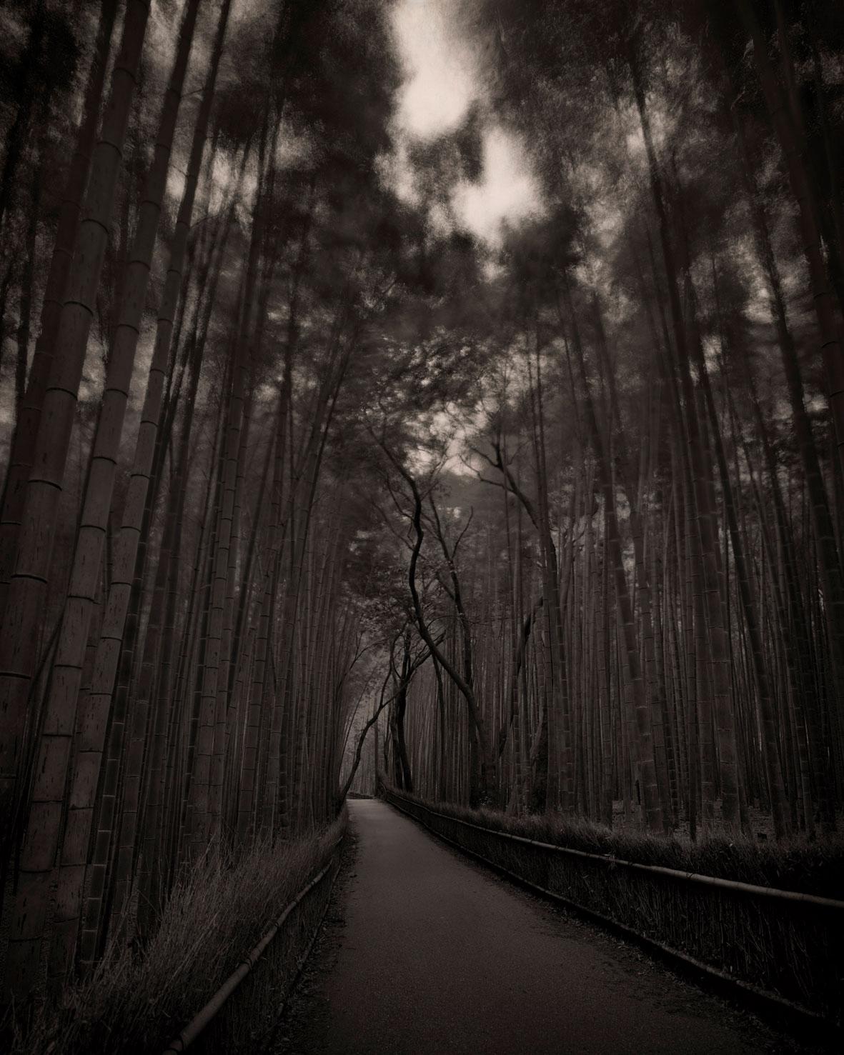 Russel Wong - Kyoto Bamboo Path