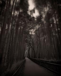 Russel Wong - Kyoto Bamboo Path