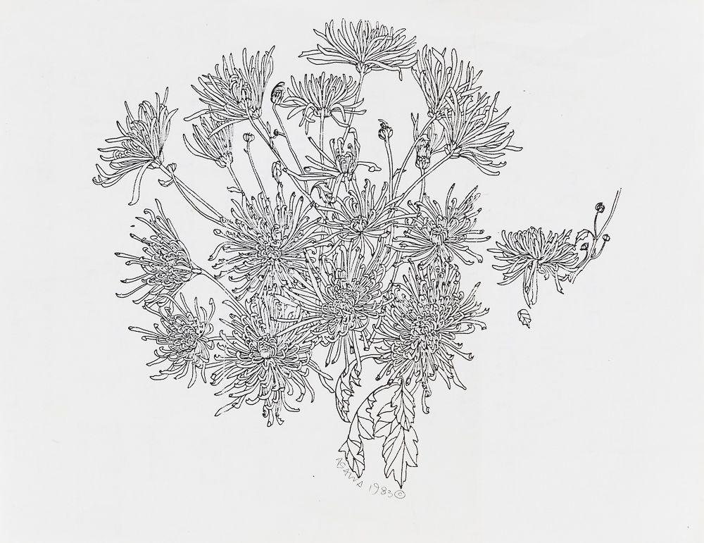 Ruth Asawa - Chrysanthemums Signed and dated \'ASAWA 1983 ©\' in pencil l.c., a handwritten letter from the artist on the reverse. Xerographic print on paper, unmatted, unframed. 8 1/2 x 11 in. (21.6 x 27.9 cm)