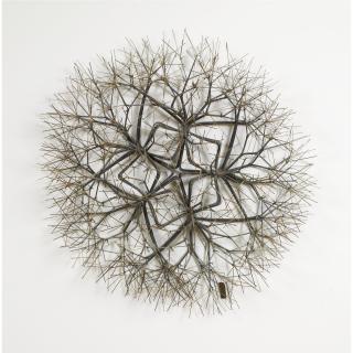 Ruth Asawa - Star