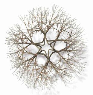 Ruth Asawa - Untitled (Hanging Tied Wire, Open-Center, Double-Sided, Six-Branched Form Based on Nature)