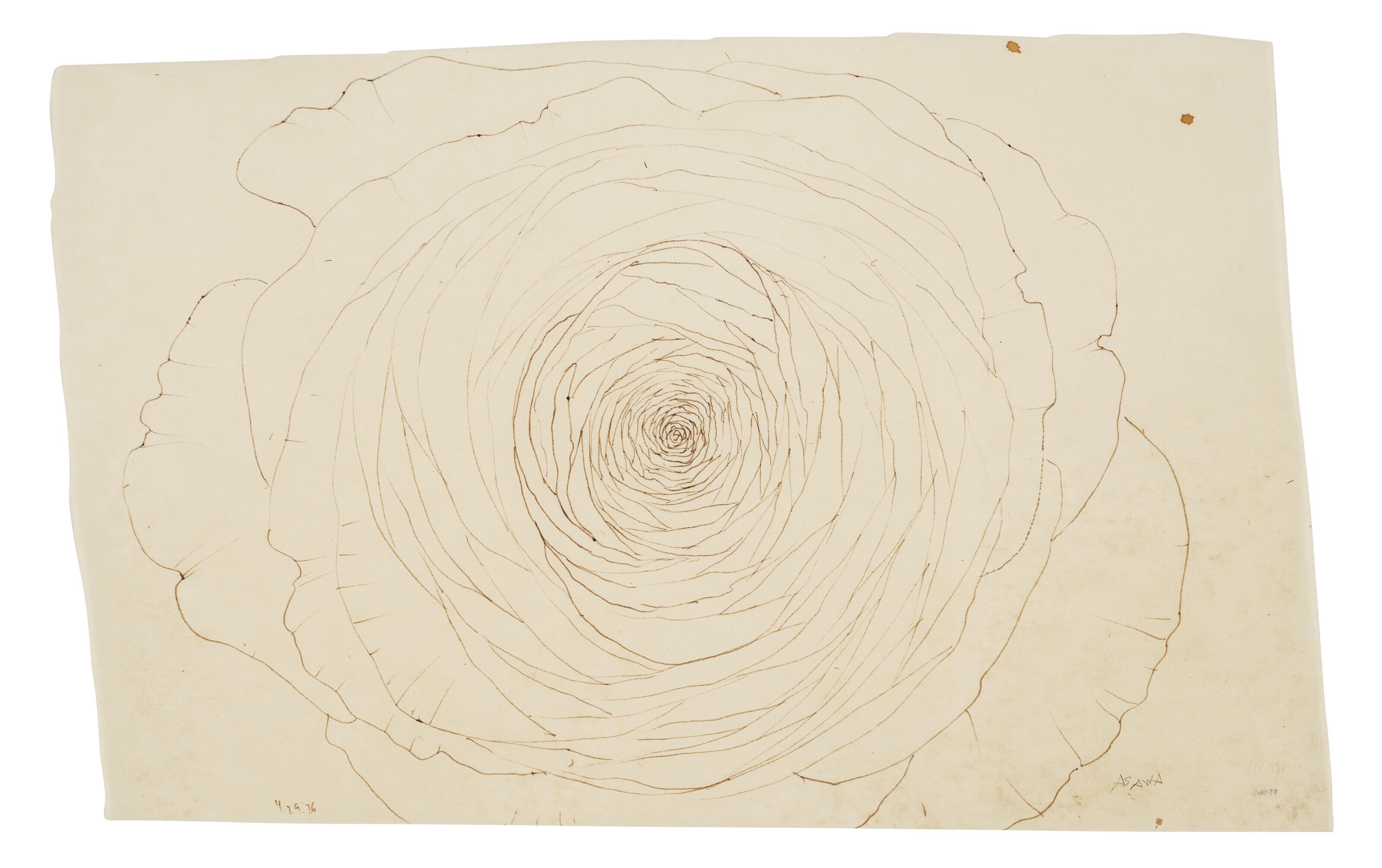 Ruth Asawa - Untitled (PF.065, Succulent)