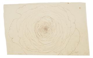 Ruth Asawa - Untitled (PF.065, Succulent)