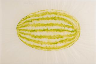 Ruth Asawa - Untitled (PF.1123, Watermelon), circa 1973