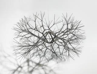 Ruth Asawa - Untitled (S.256, Hanging Tied-Wire, Double-Sided, Open-Center, Six-Branched Form Based On Nature)